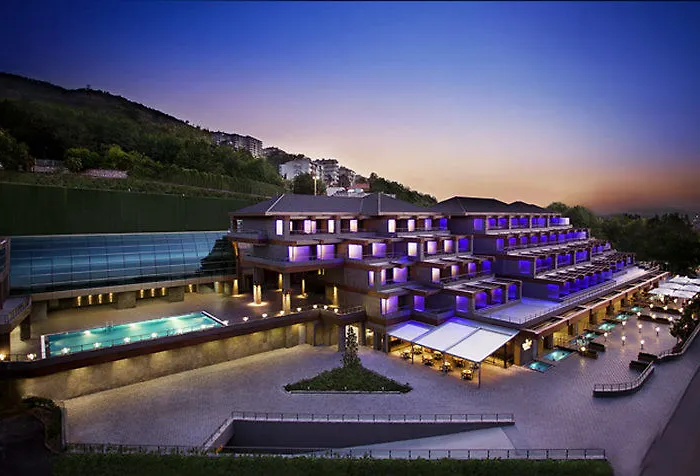 Divan 4* Bursa